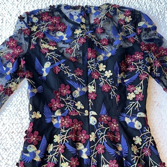 Dress the Population Sophia Hummingbird Embroidered Sheer Illusion Dress XS - Picture 11 of 16